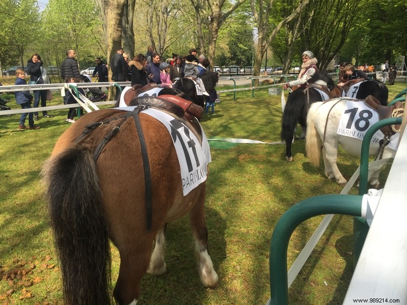 Les Dimanches au Galop, an original family outing 