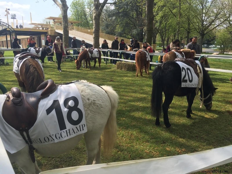 Les Dimanches au Galop, an original family outing 