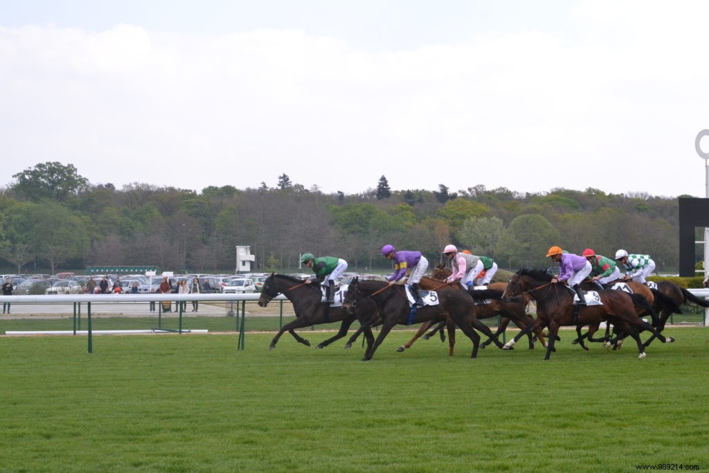 Les Dimanches au Galop, an original family outing 