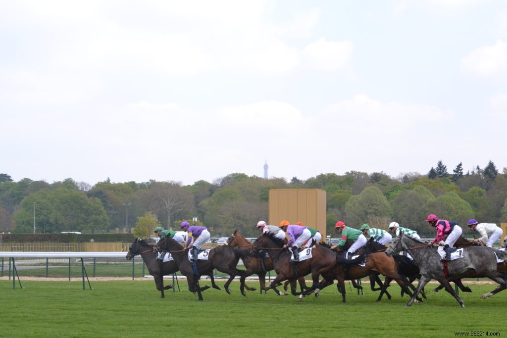 Les Dimanches au Galop, an original family outing 