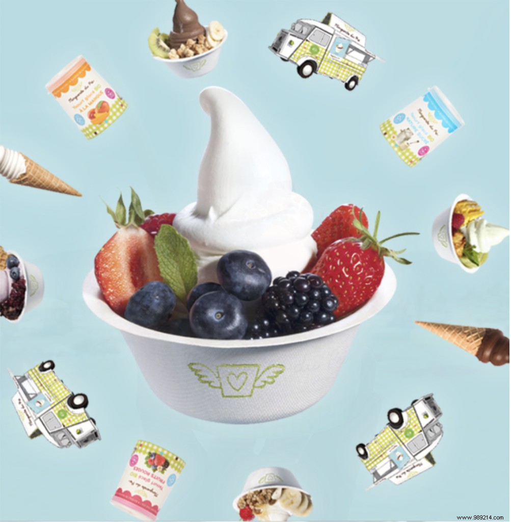 ORGANIC frozen yogurt MARGUERITE DU PRE 