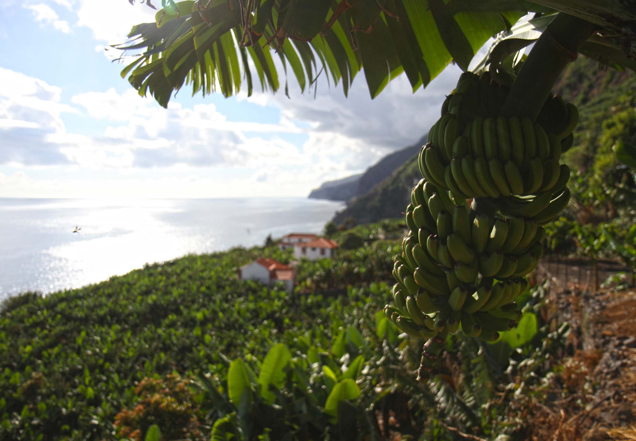 Madeira, our advice to prepare your trip 