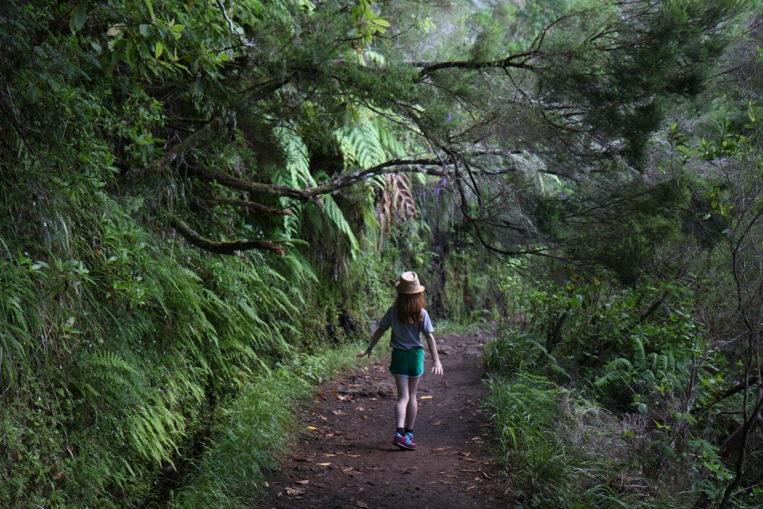 Madeira, our 10 essential things to see or do 