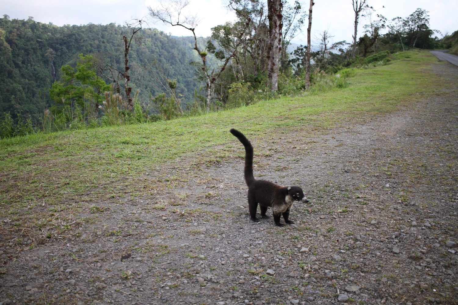 Discovering Costa Rica, all our tips for preparing your trip 