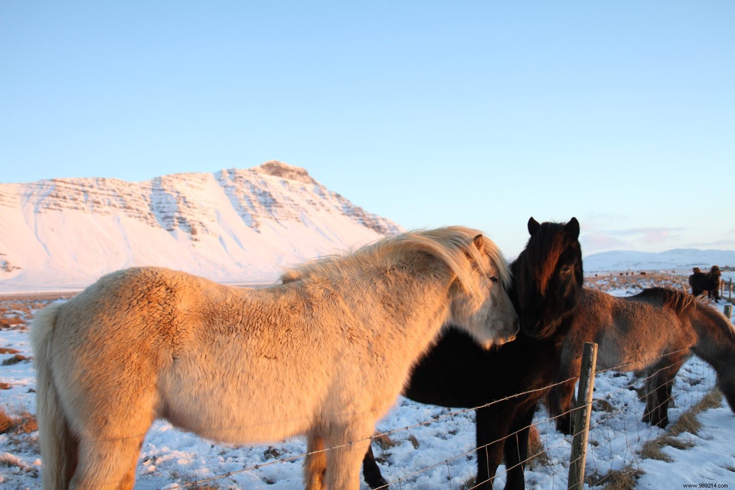 Our tips for planning your trip to Iceland 