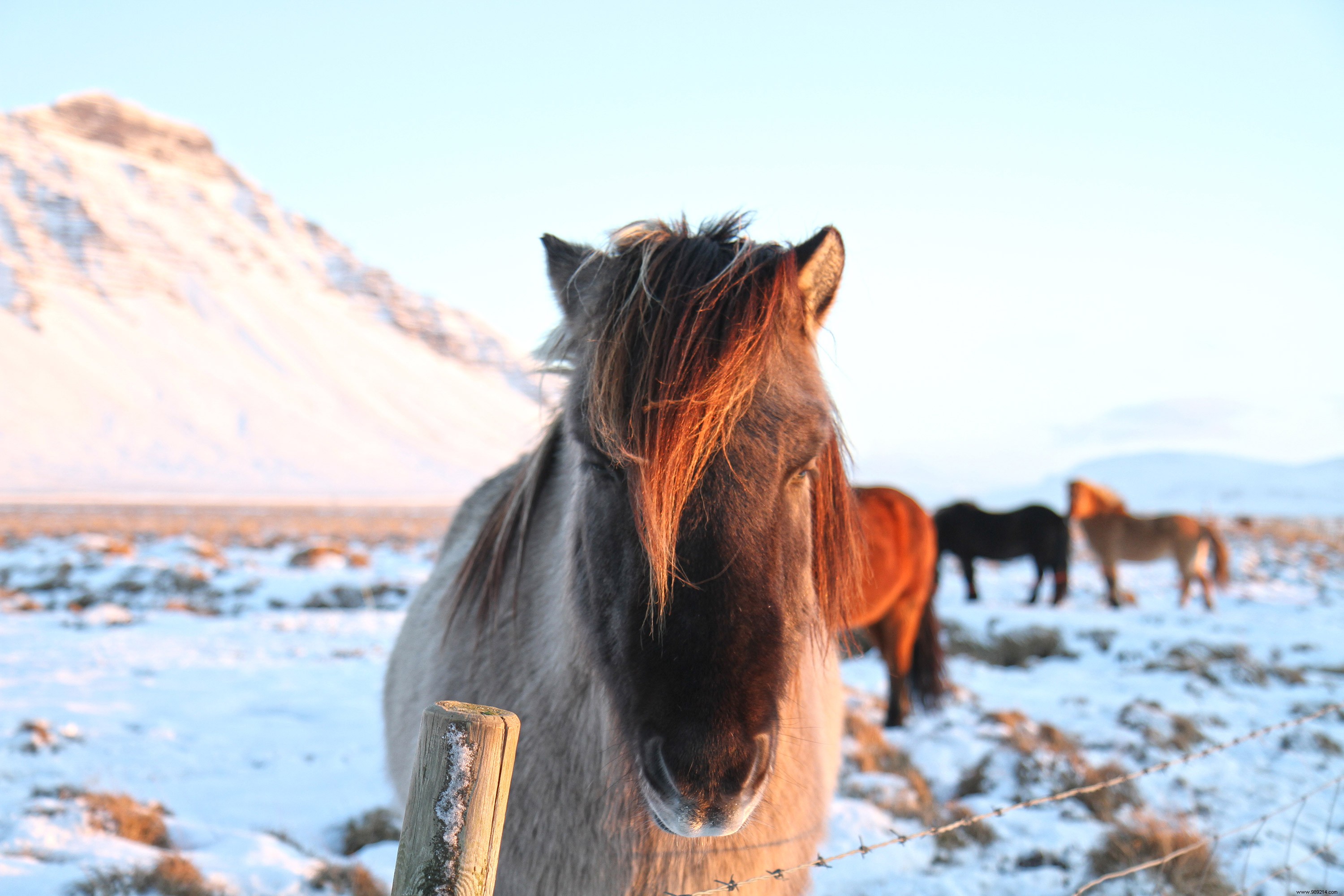 Our tips for planning your trip to Iceland 