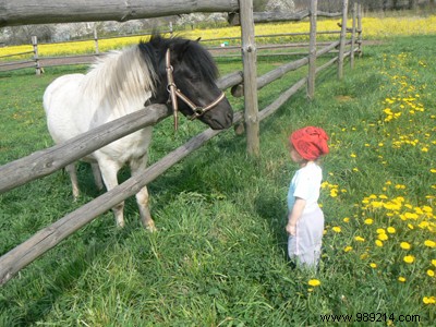 Dare the baby pony... 