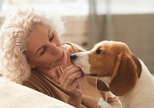 Adopting a pet as a senior:what you need to know 