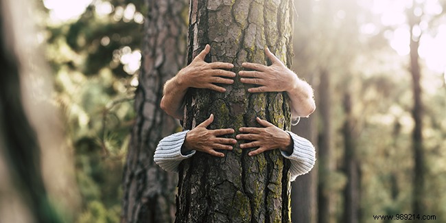 Forest baths or sylvotherapy:solution against stress? 