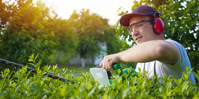 A gardener to trim hedges and do heavy work:how much does it cost? 