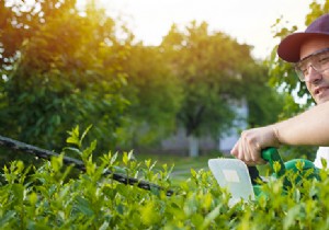 A gardener to trim hedges and do heavy work:how much does it cost? 