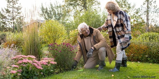 How to treat weeds without breaking your back? 