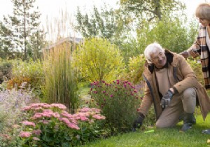 How to treat weeds without breaking your back? 