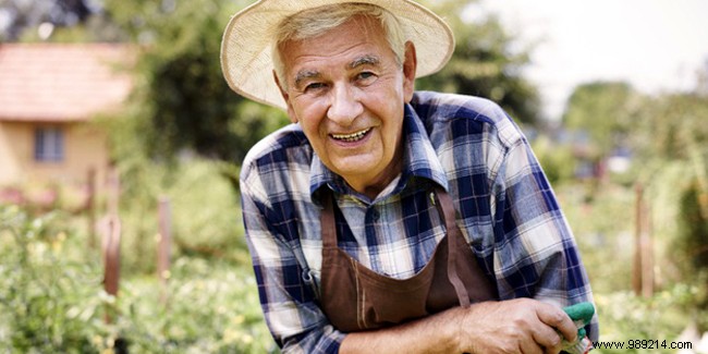 Gardening without pain:advice and tips for seniors 