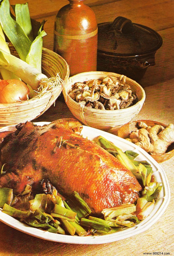 Duck with onion and leek (Chinese recipe) 