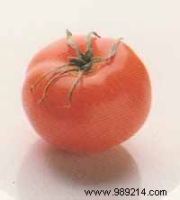 Plate of Glazed Tomatoes 