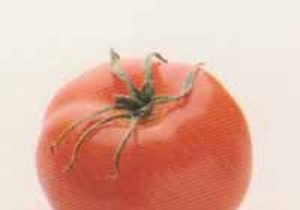 Plate of Glazed Tomatoes 