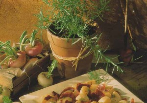 Fricassee of baby turnips with candied gizzards 