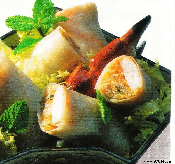 Spring rolls my way (spring roll style) 