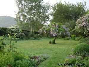 The layout of a garden 