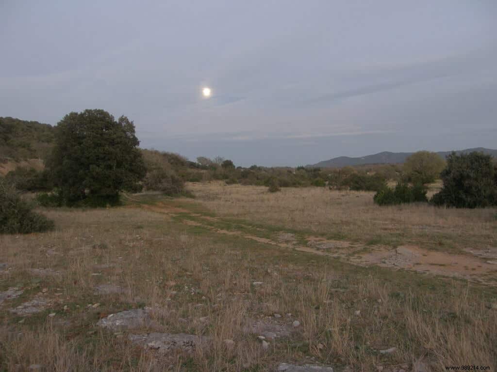 Gardening with the moon 