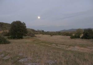 Gardening with the moon 