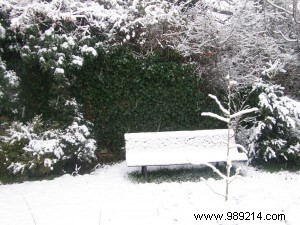 garden work in February 