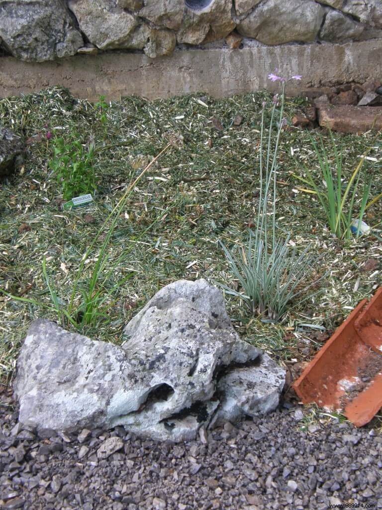 Creation of a bed of perennials 