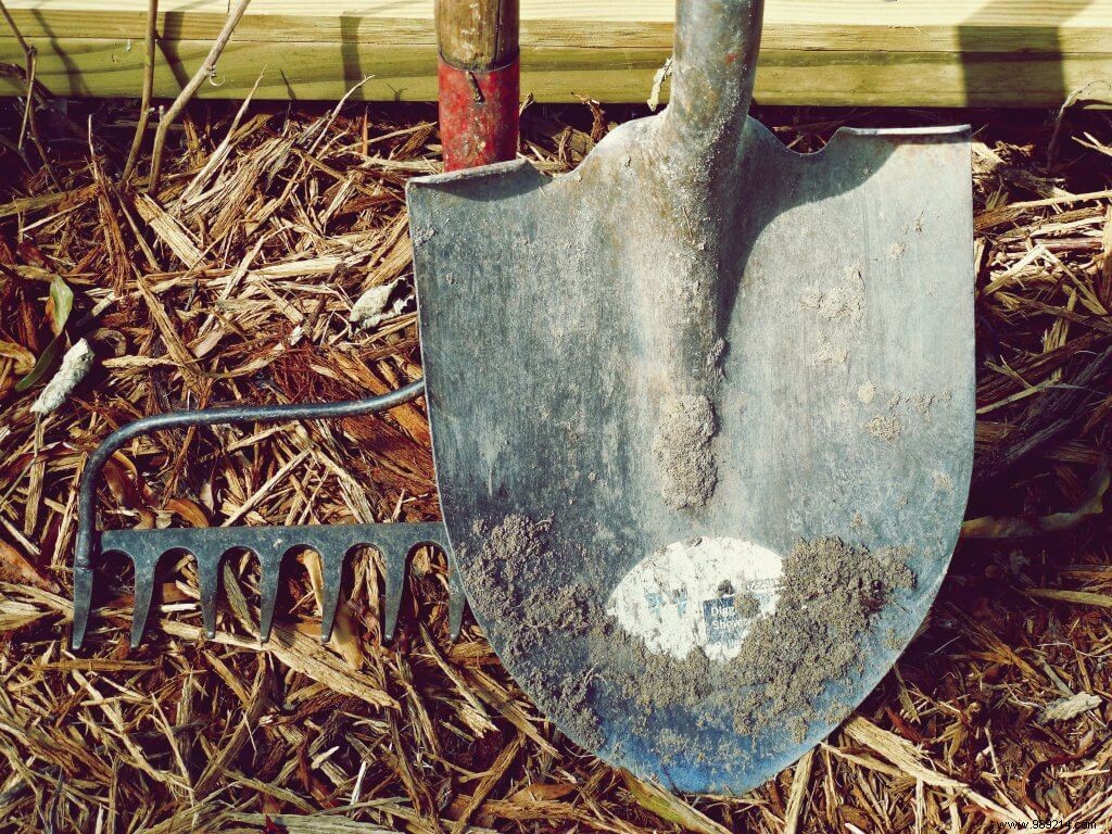 How to properly store your garden tools 