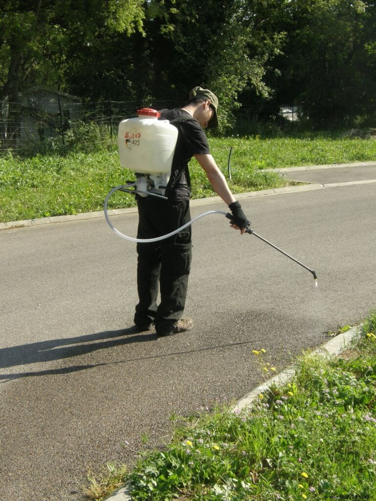 Pesticides danger in gardens? 