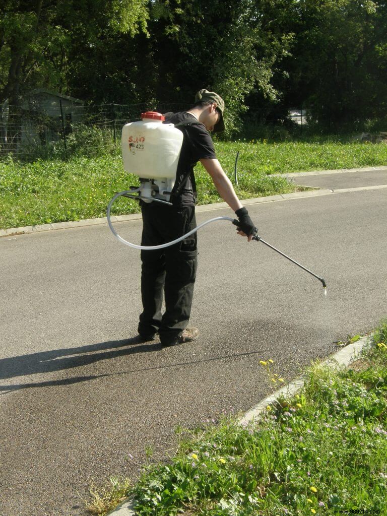 Manual sprayer 