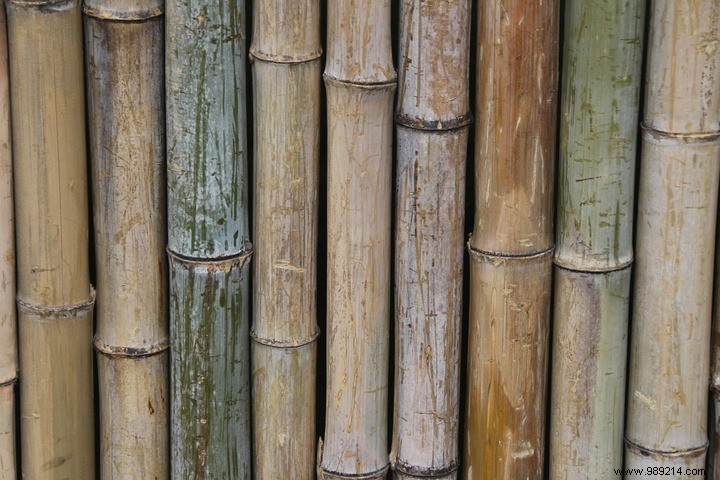 Do-it-yourself bamboo fence, the required tools 