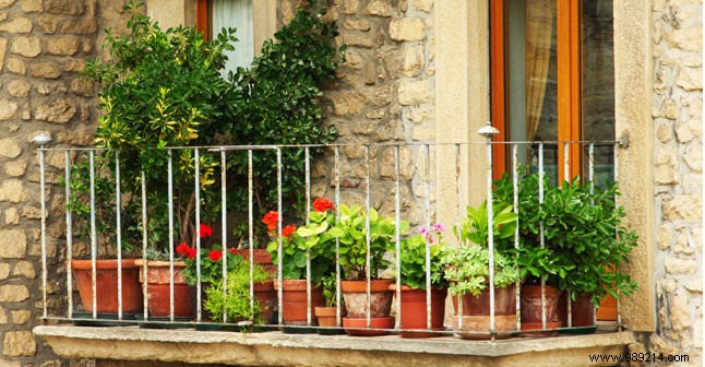 A little corner of paradise:bloom and furnish your balcony or terrace 