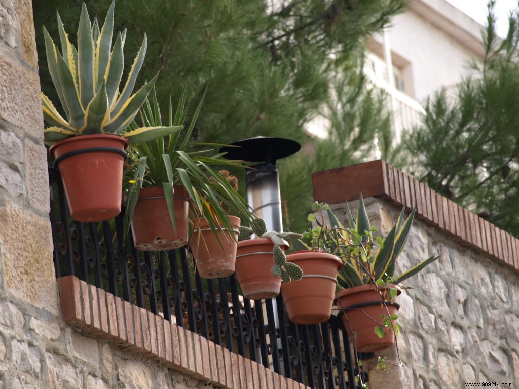 A little corner of paradise:bloom and furnish your balcony or terrace 