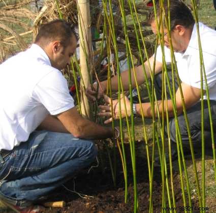 The difference between landscape architect and landscape gardener 