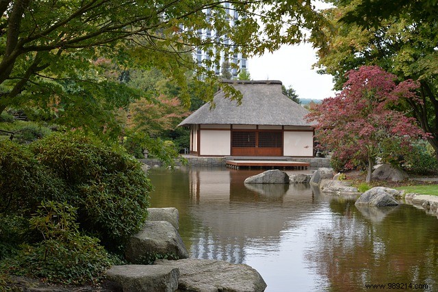 The wooden terrace and the garden 