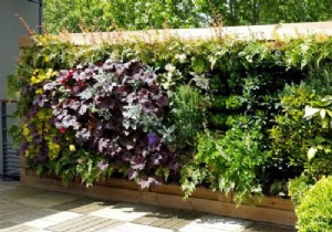 A green wall to beautify the garden 