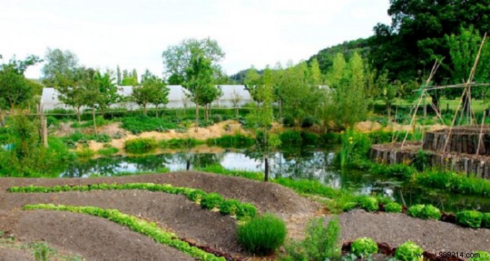 How to get a natural garden without harming the ecosystem? 