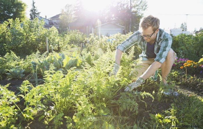 How to get a natural garden without harming the ecosystem? 