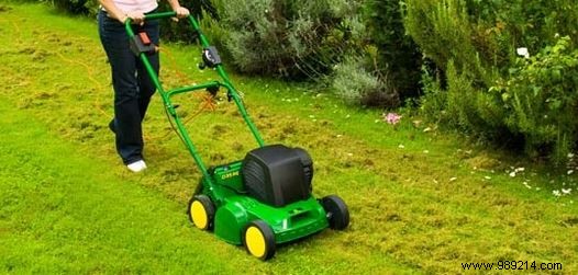 Scarifier:the essential natural asset for your garden 