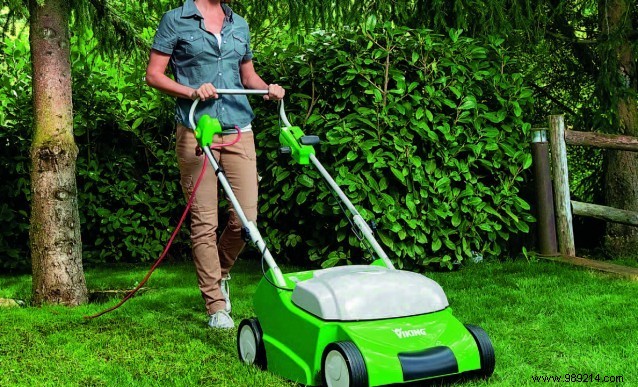 Scarifier:the essential natural asset for your garden 