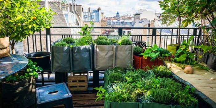 What if your balcony became a vegetable garden? 