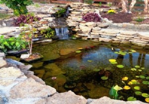 Protect your garden pond to preserve its beauty 