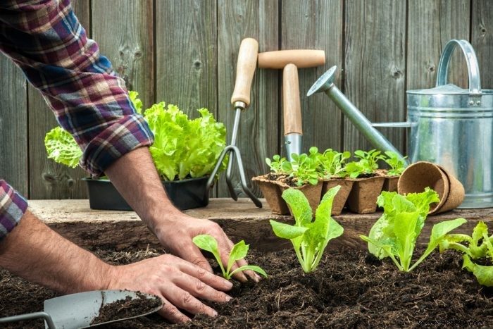 How to have a beautiful garden in winter? 