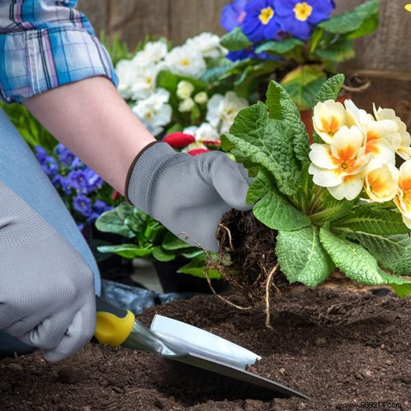 The few essential accessories for the gardener 