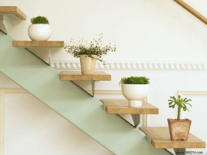 10 original ideas to decorate the house with indoor plants 