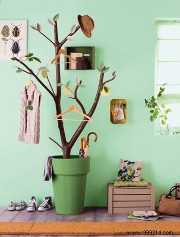 10 original ideas to decorate the house with indoor plants 