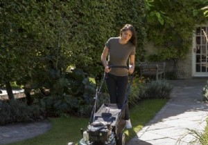 Electric scarifier comparison:Black+Decker ST5530CM-QS vs AL-KO Combi Care 38 E 