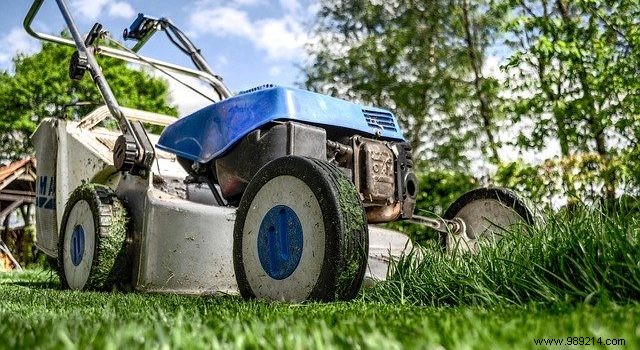 6 types of mower to maintain your lawn 