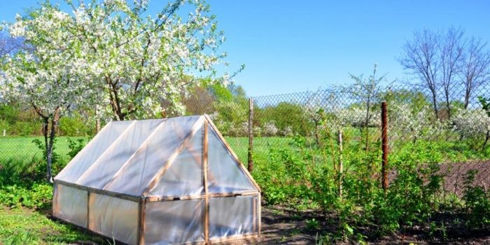 How to build a mini-greenhouse in your garden? 